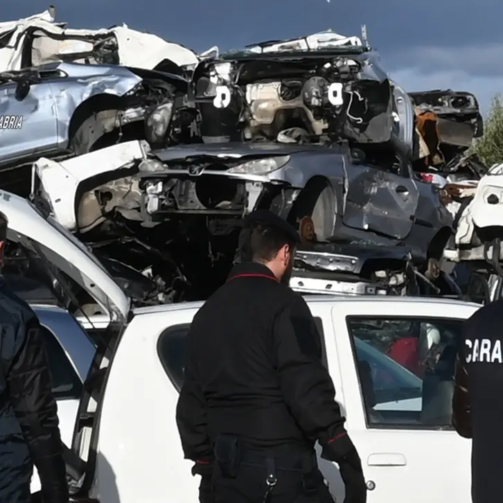 Reggio, officina abusiva e capi di bestiame non identificati: denunciato un 54enne