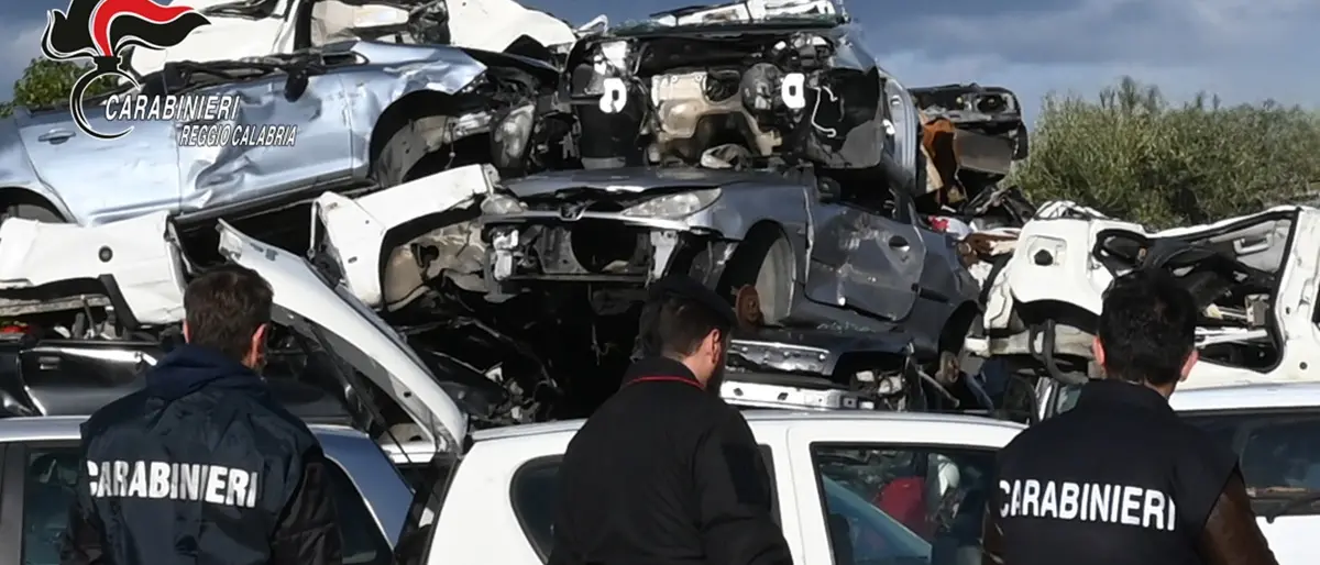 Reggio, officina abusiva e capi di bestiame non identificati: denunciato un 54enne