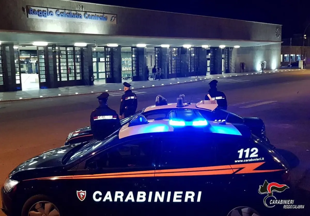 Reggio, infastidito da cani del vicino che abbaiano tenta di ucciderli: denunciato un 64enne