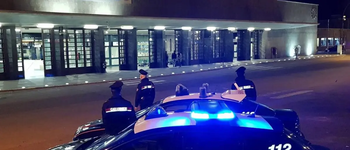 Reggio, infastidito da cani del vicino che abbaiano tenta di ucciderli: denunciato un 64enne