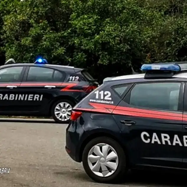 Oppido Mamertina e Sant’Eufemia d’Aspromonte, apparecchi videoludici illegali: i carabinieri chiedono la chiusura di 3 locali