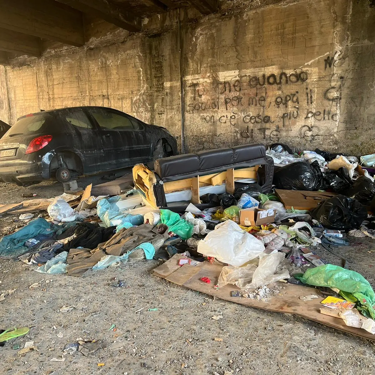 Argine Calopinace, cittadini in rivolta: «Degrado e abbandono regnano sovrani»