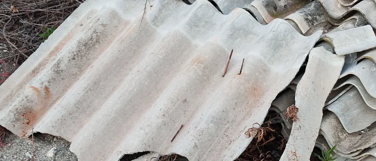 Nel Vibonese centinaia di morti per l’amianto in trent’anni: cifre sottostimate perché molti sono andati al Nord per curarsi\n