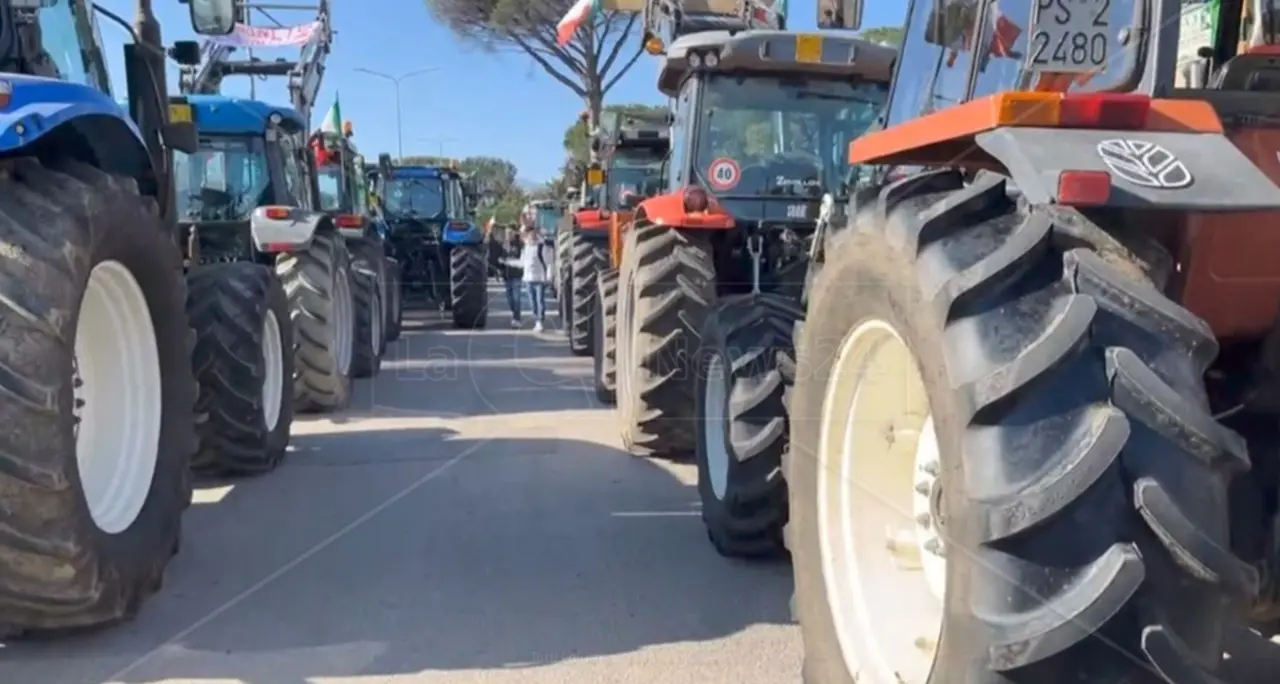 I trattori si preparano a scendere di nuovo in strada, domani giornata di mobilitazioni in Calabria\n