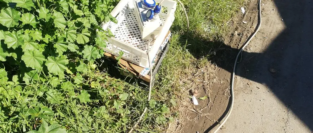 Ancadic: «Continua l’attività di mercato settimanale a Melito in un ambiente non privo di pericoli»