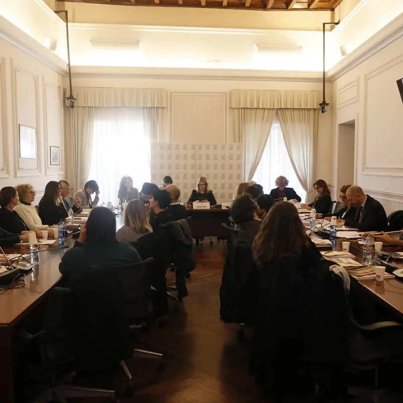 Migranti, Castorina: «Trasformare l'emergenza in programmazione: la città di Reggio protagonista»