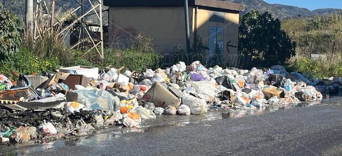 Rifiuti e Capodanno a Reggio, Italia Viva: «Da esponente FI e dipendente Ecologia Oggi grave disinformazione»