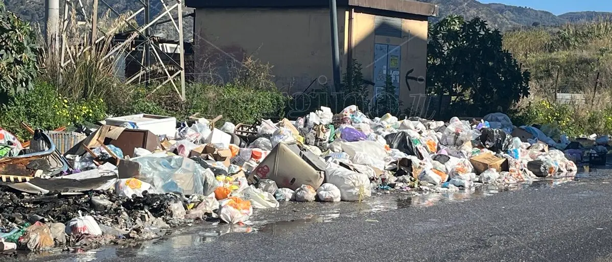 Rifiuti e Capodanno a Reggio, Italia Viva: «Da esponente FI e dipendente Ecologia Oggi grave disinformazione»