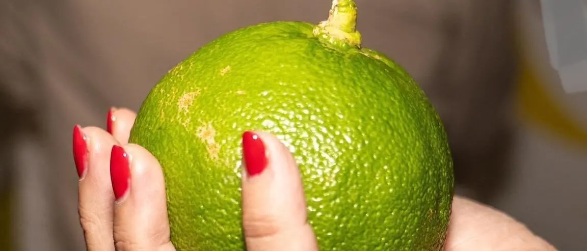 Il Consorzio del Bergamotto di Reggio Calabria fa tappa a Berlino per Fruit logistica