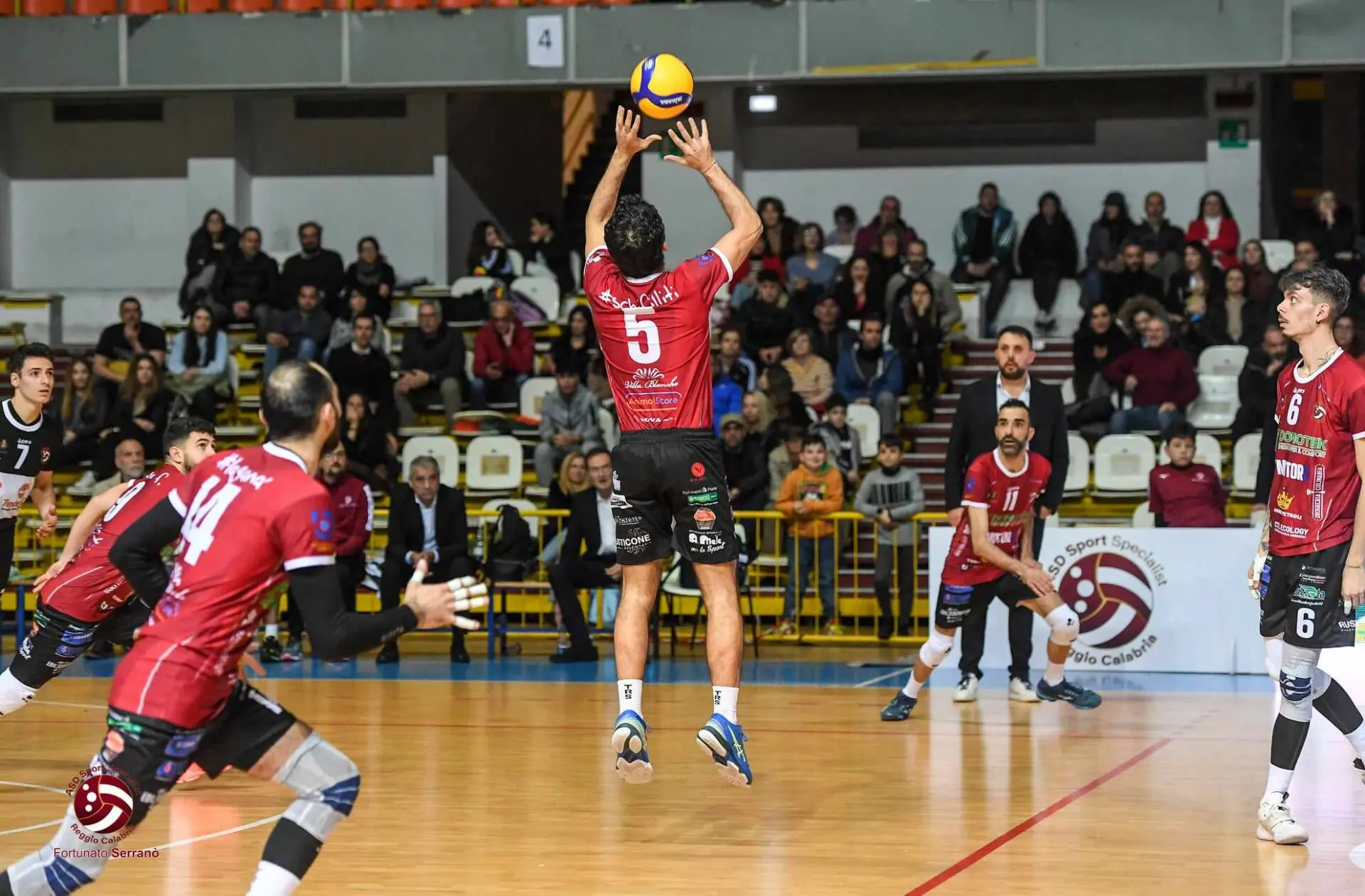 Domotek Volley Reggio Calabria domenica a Siracusa: capolista sul campo della terza forza del campionato di Serie B