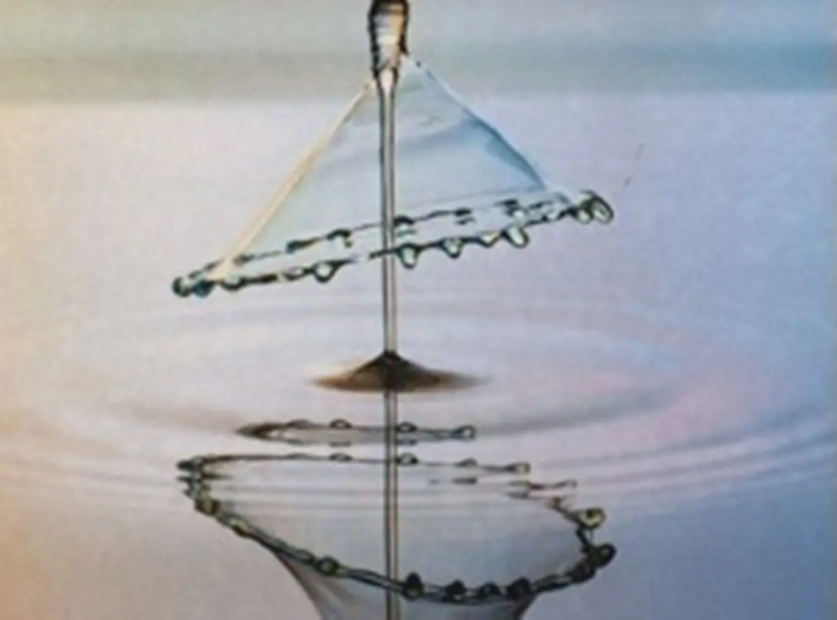 Reggio, martedì l'incontro con la poetessa Silvia Sestito