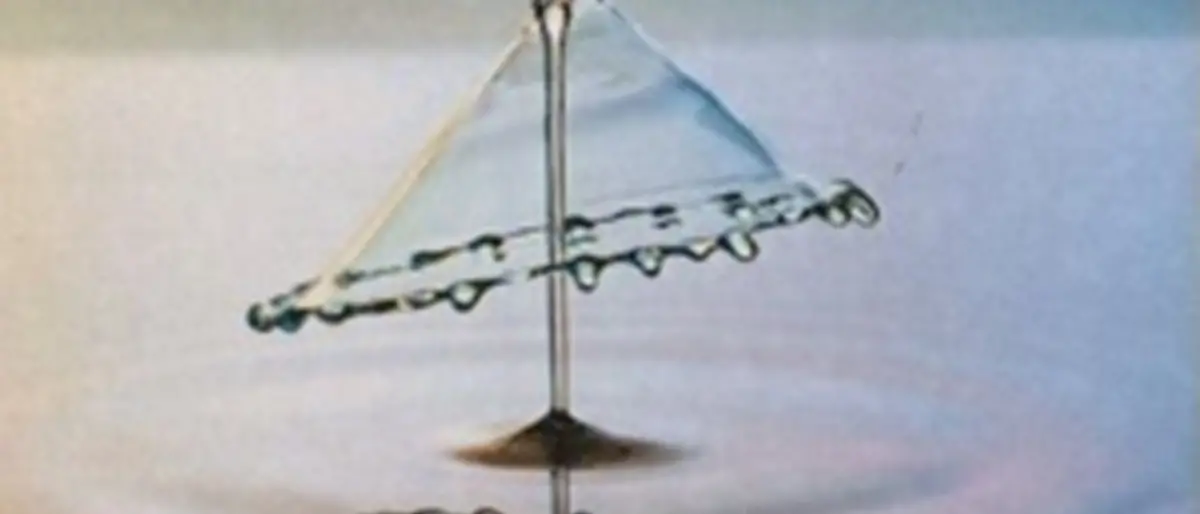 Reggio, martedì l'incontro con la poetessa Silvia Sestito