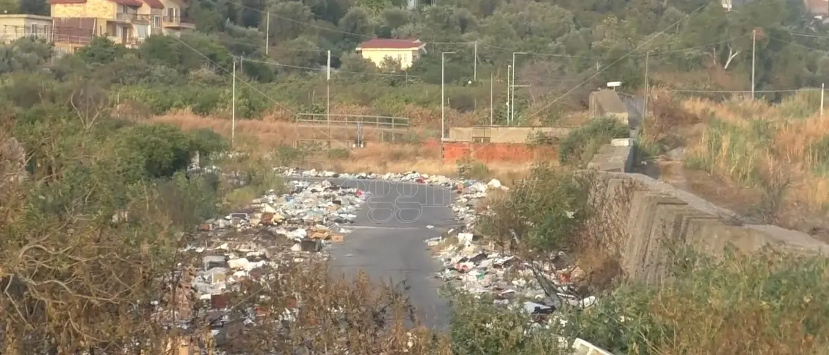 Reggio, la ditta Logam eseguirà l'intervento di pulizia straordinaria a Mortara