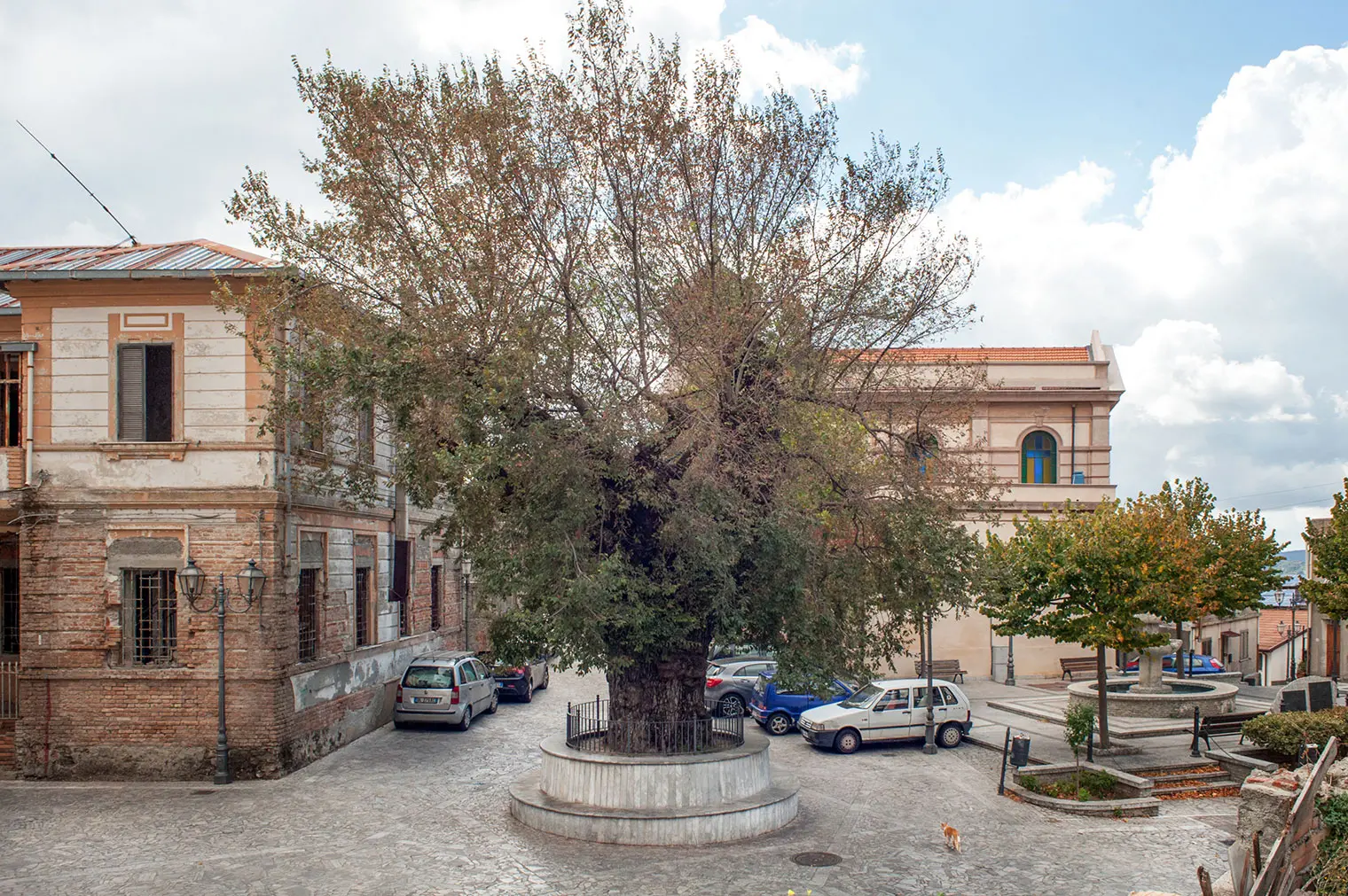 SENZA VOTO | Viaggio a San Lorenzo tra recriminazioni e attesi progetti condivisi