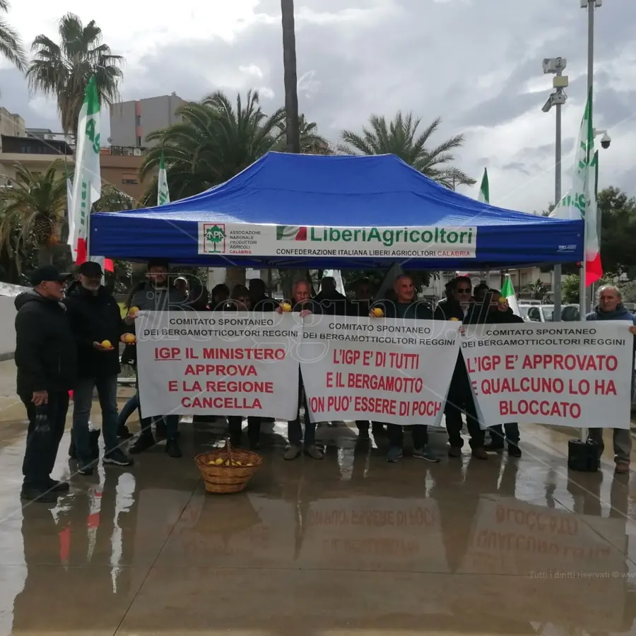 Reggio, produttori di bergamotto: «Da anni attendiamo l'Igp e adesso non intendiamo rinunciarci»
