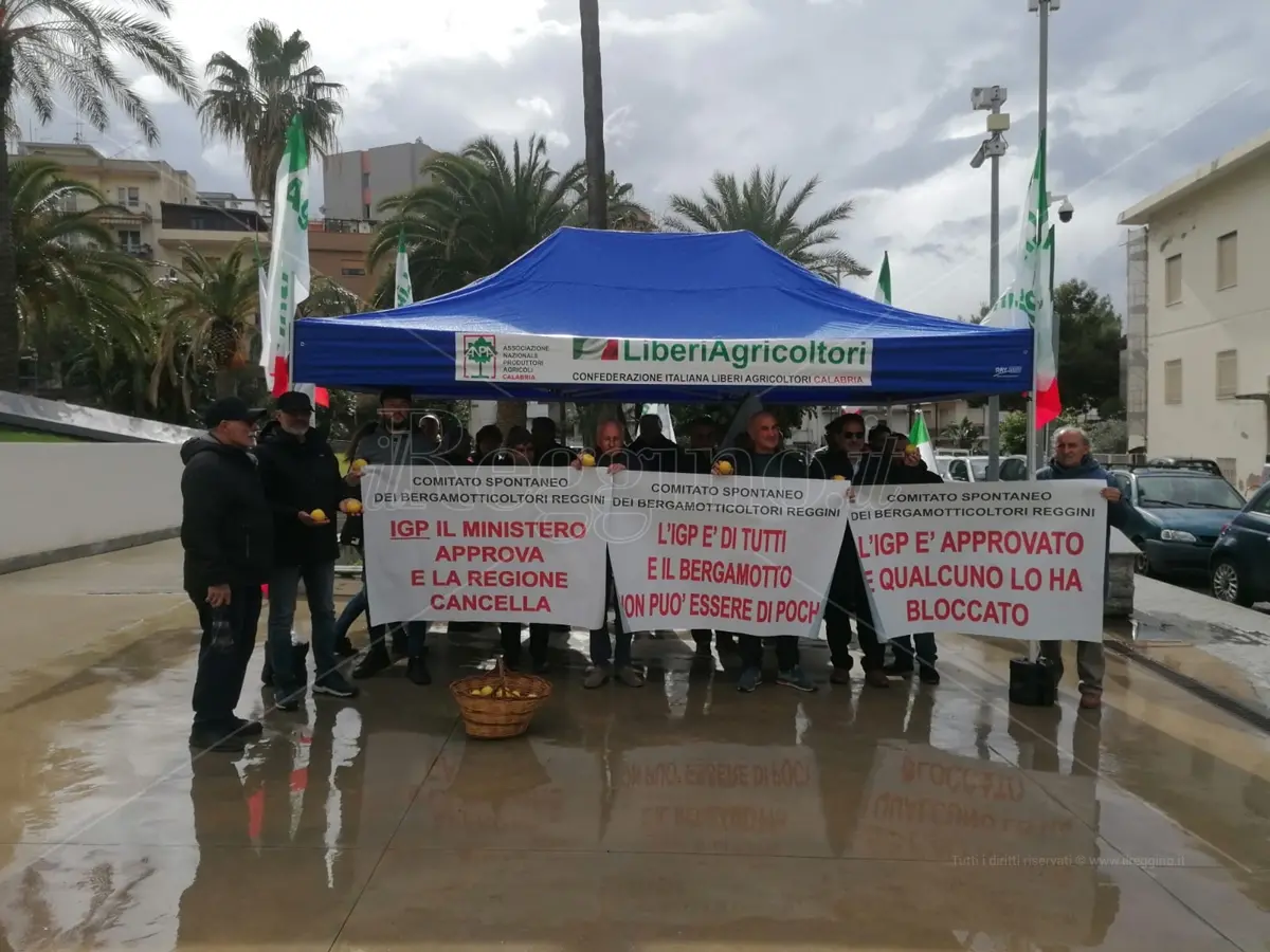 Reggio, produttori di bergamotto: «Da anni attendiamo l'Igp e adesso non intendiamo rinunciarci»
