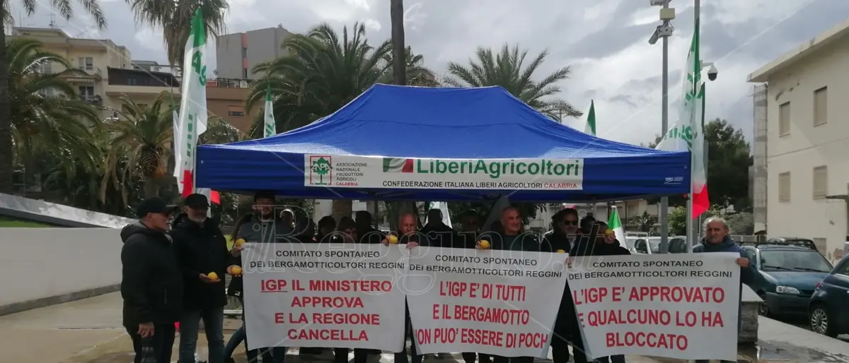 Reggio, produttori di bergamotto: «Da anni attendiamo l'Igp e adesso non intendiamo rinunciarci»