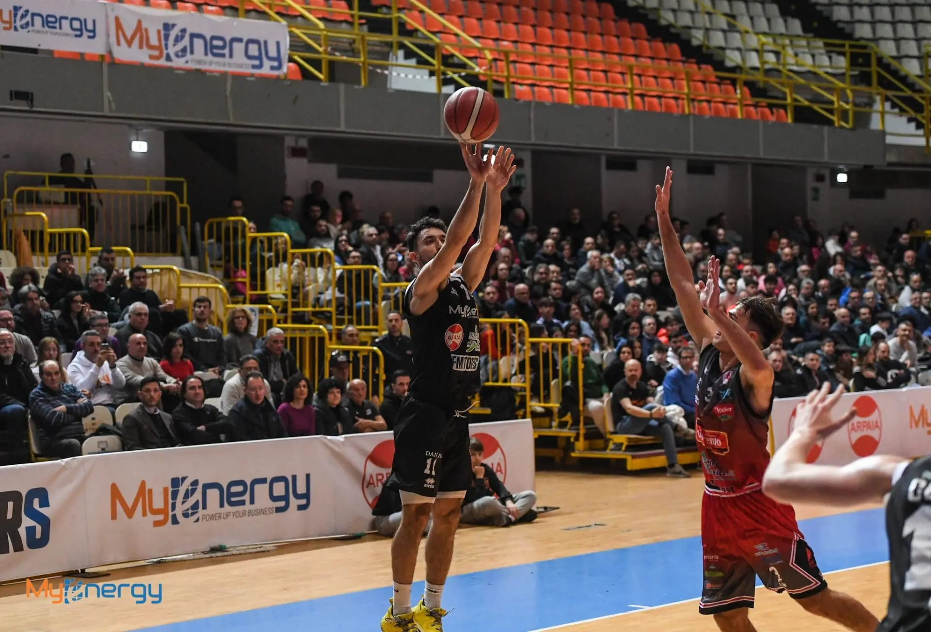 Viola, Maksimovic: «Il pubblico? La nostra forza, mai avuto tanta gente così numerosa in carriera»