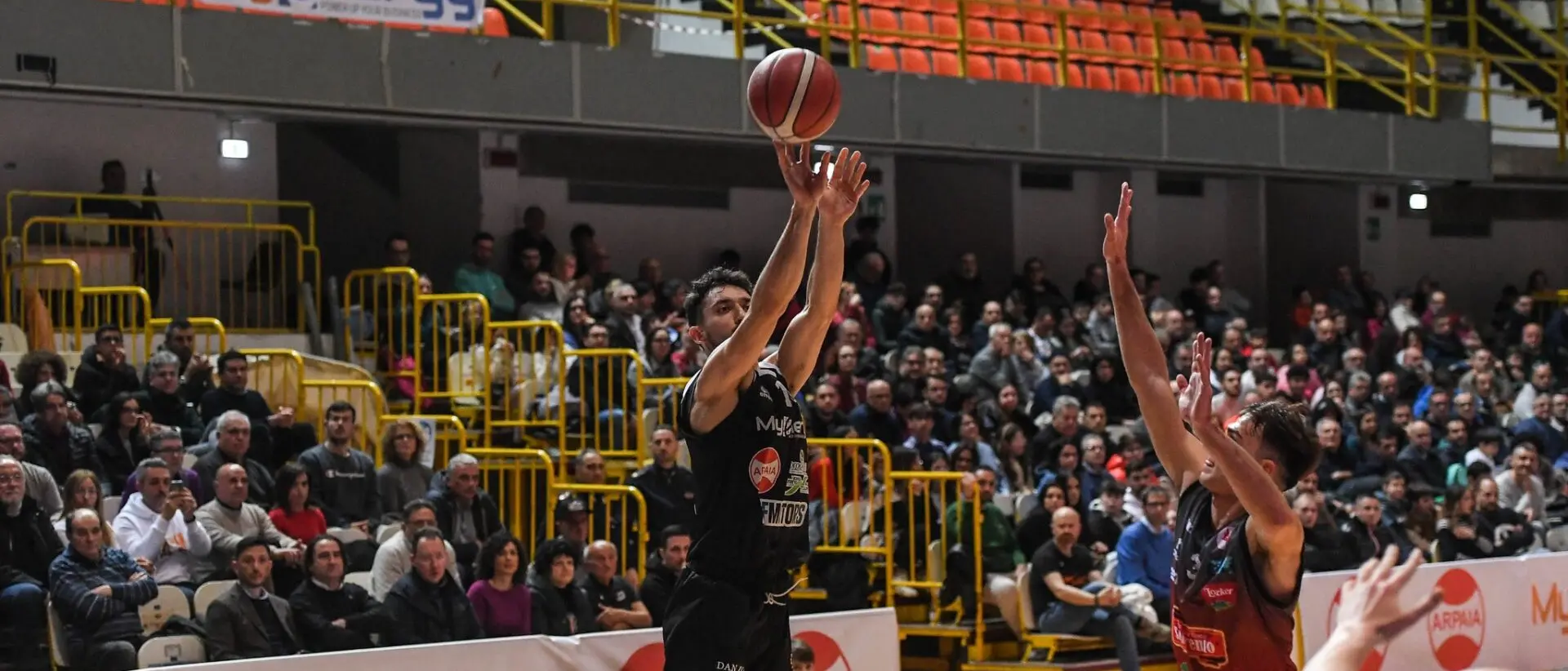 Viola, Maksimovic: «Il pubblico? La nostra forza, mai avuto tanta gente così numerosa in carriera»