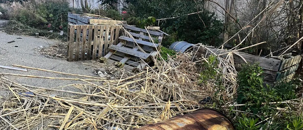 Reggio, fusti e degrado nell'ex ditta agrumaria a San Giorgio Extra: qualcosa si muove? - FOTO