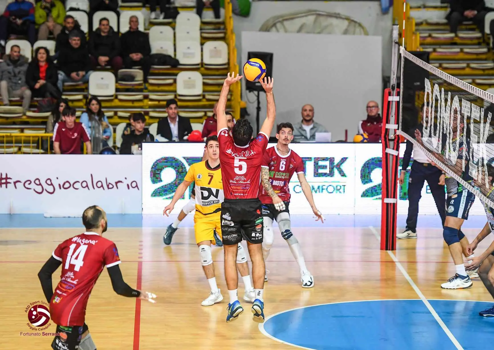 Ventesima giornata di Serie B: in doppia cifra il vantaggio Domotek Volley sulle inseguitrici