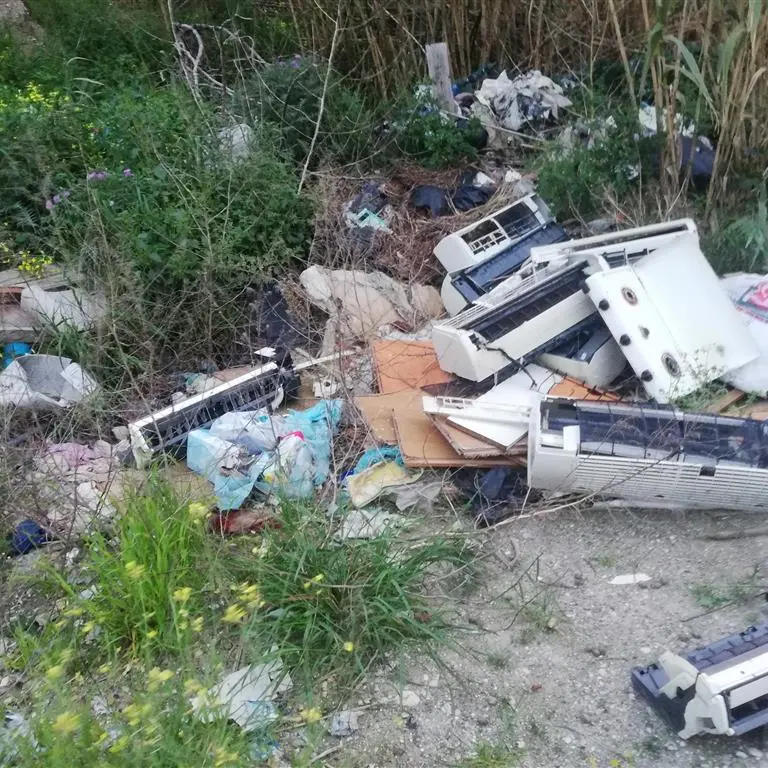 Ancadic denuncia: «Situazione critica del Torrente Fiumarella di Pellaro avvolta tra spazzatura e vegetazione»