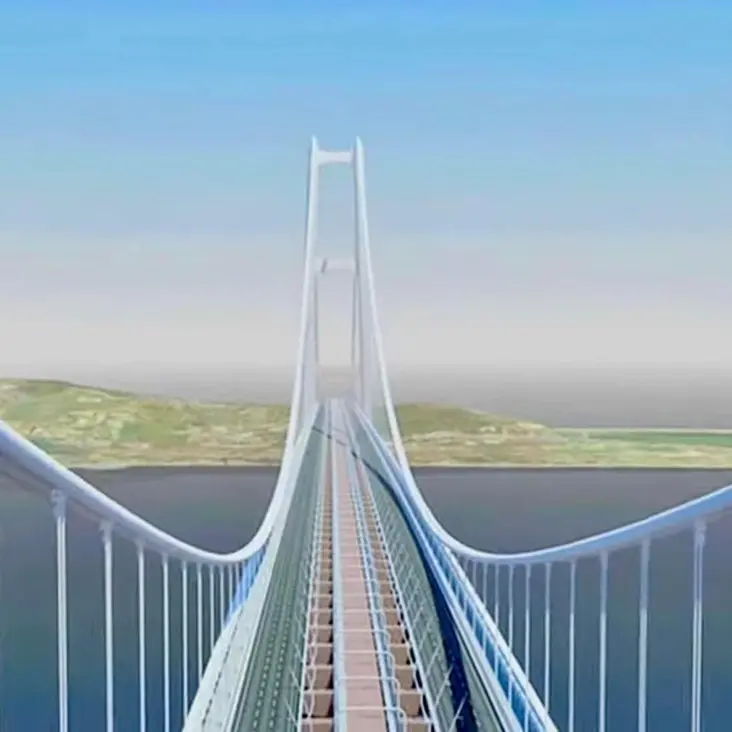 Ponte sullo Stretto, Ciucci: «La crescita del valore d’investimento legata a costi dei materiali»