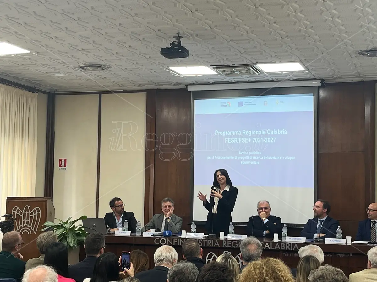 Reggio, ecco il bando regionale \"Ricerca e sviluppo\" che unisce la conoscenza imprenditoriale e il sapere scientifico - VIDEO