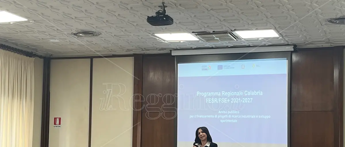 Reggio, ecco il bando regionale \"Ricerca e sviluppo\" che unisce la conoscenza imprenditoriale e il sapere scientifico - VIDEO