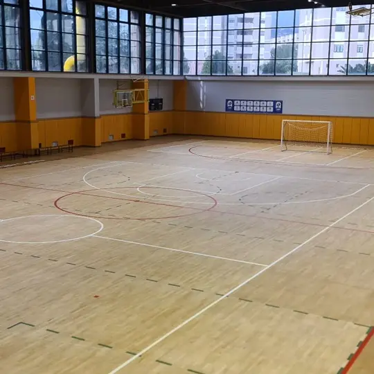 Reggio, rinasce il Pianeta Viola: il palazzetto pronto a riaprire per il Trofeo delle Regioni