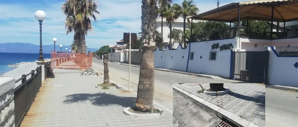 Lazzaro, Crea (Ancadic): «Palme instabili sul lungomare Cicerone»