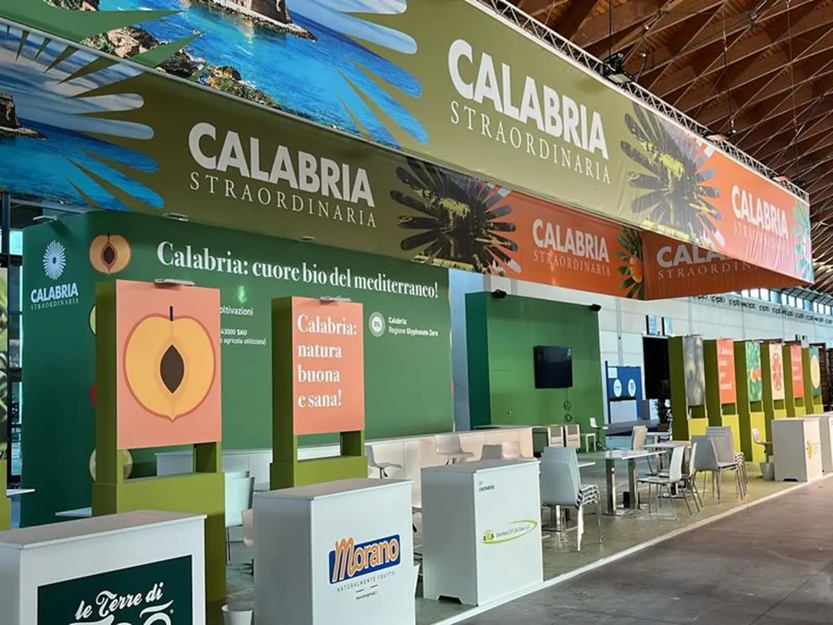 La Calabria pronta a sbarcare al MacFrut di Rimini anche con il Bergamotto di Reggio