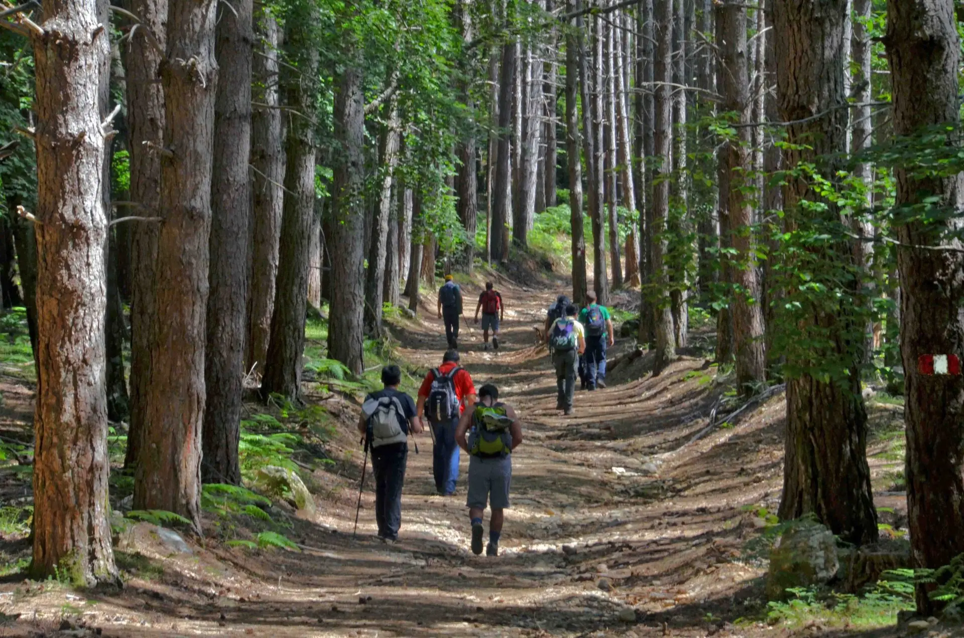 Le camminate nella biodiversità del FAI nel Parco Nazionale dell’Aspromonte