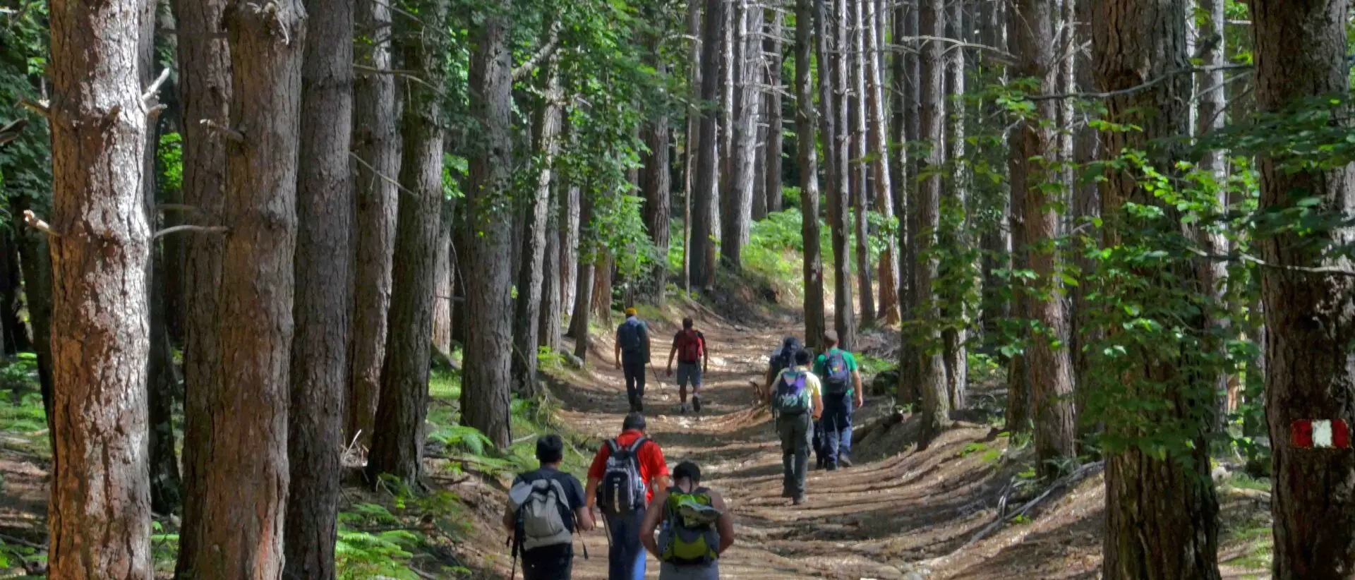 Le camminate nella biodiversità del FAI nel Parco Nazionale dell’Aspromonte