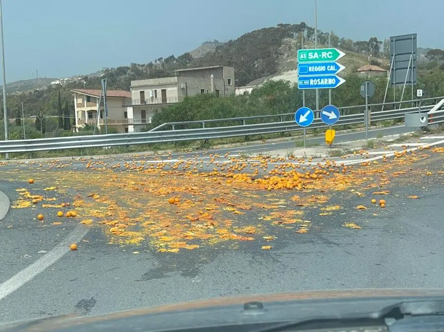 Locride, centinaia di arance sull’asfalto della 106: traffico rallentato tra Caulonia e Roccella