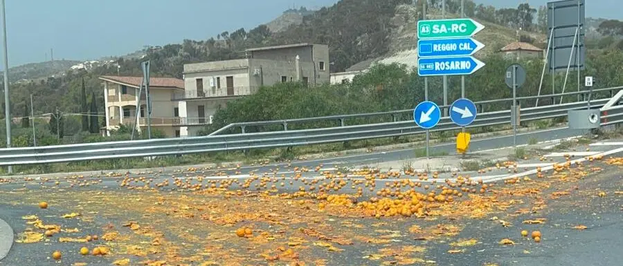 Locride, centinaia di arance sull’asfalto della 106: traffico rallentato tra Caulonia e Roccella