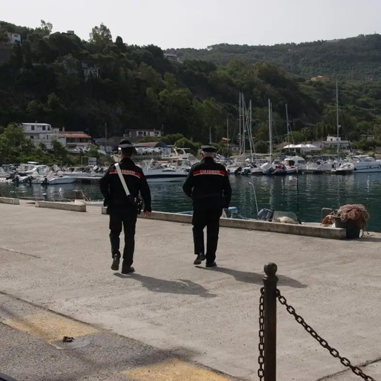 Palmi, al mercato rionale sequestrati oltre 15 kg di pesce avariato