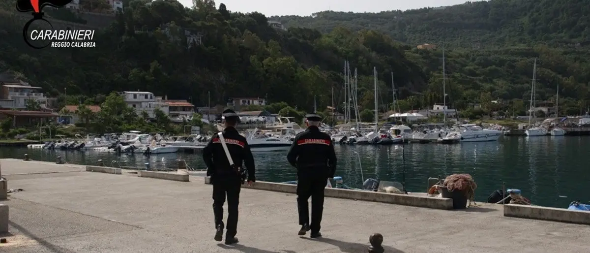 Palmi, al mercato rionale sequestrati oltre 15 kg di pesce avariato