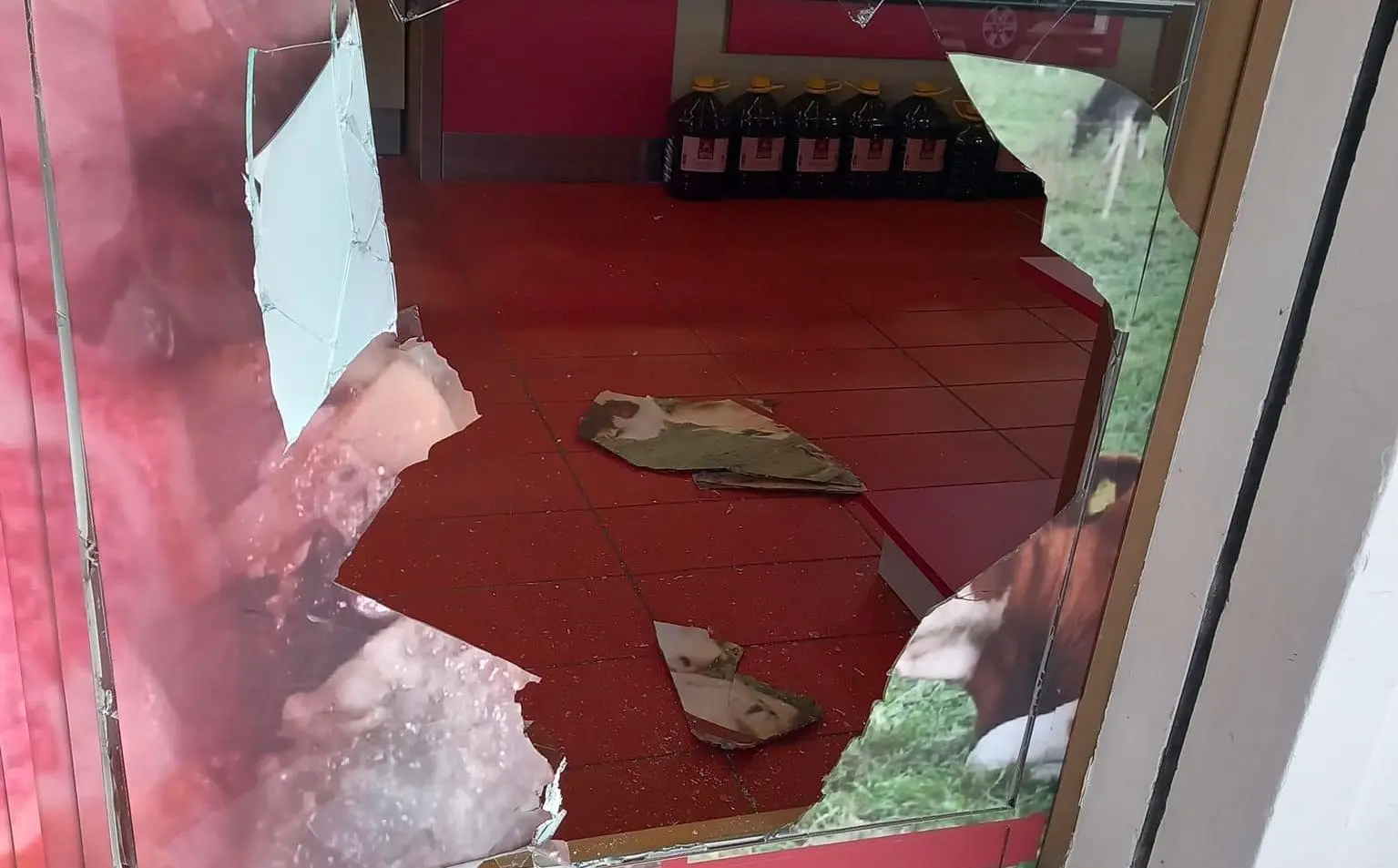 Caulonia, ladri in azione in un panificio: vetrina distrutta