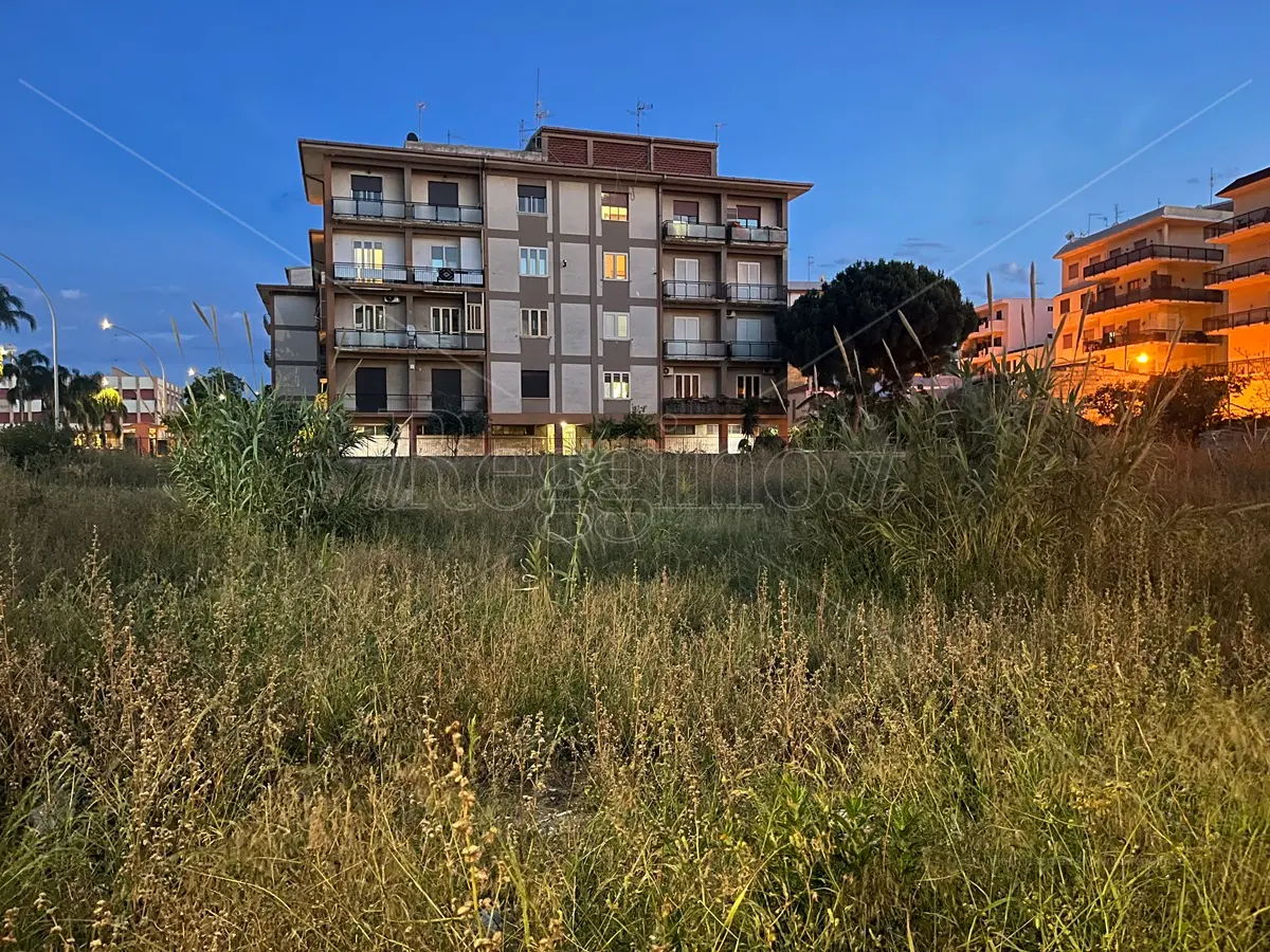 Reggio, Orti urbani in stallo: la nomina di un nuovo direttore dei lavori per ripartire? - FOTO