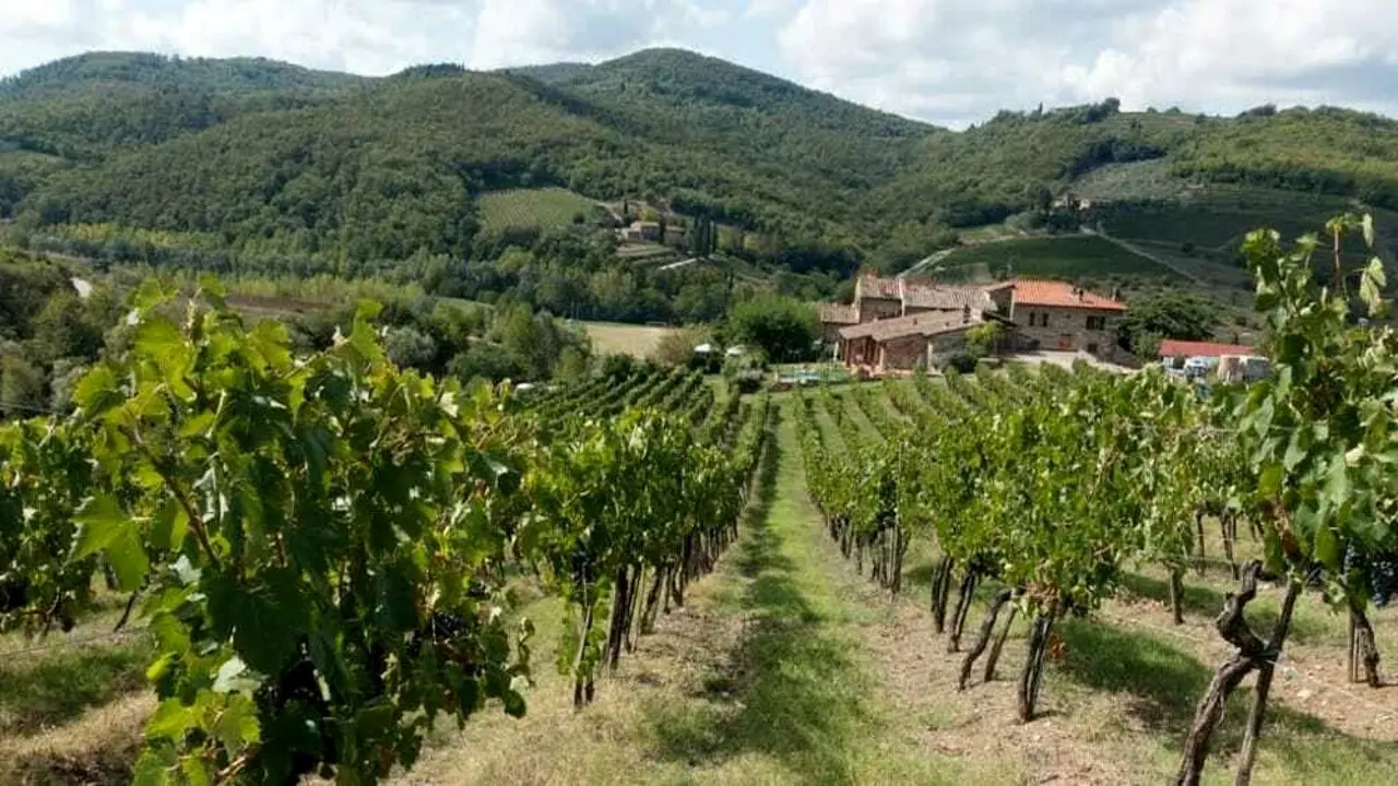 Agricoltura delle vallate reggine assetata: «Il consorzio unico irriguo non decolla»