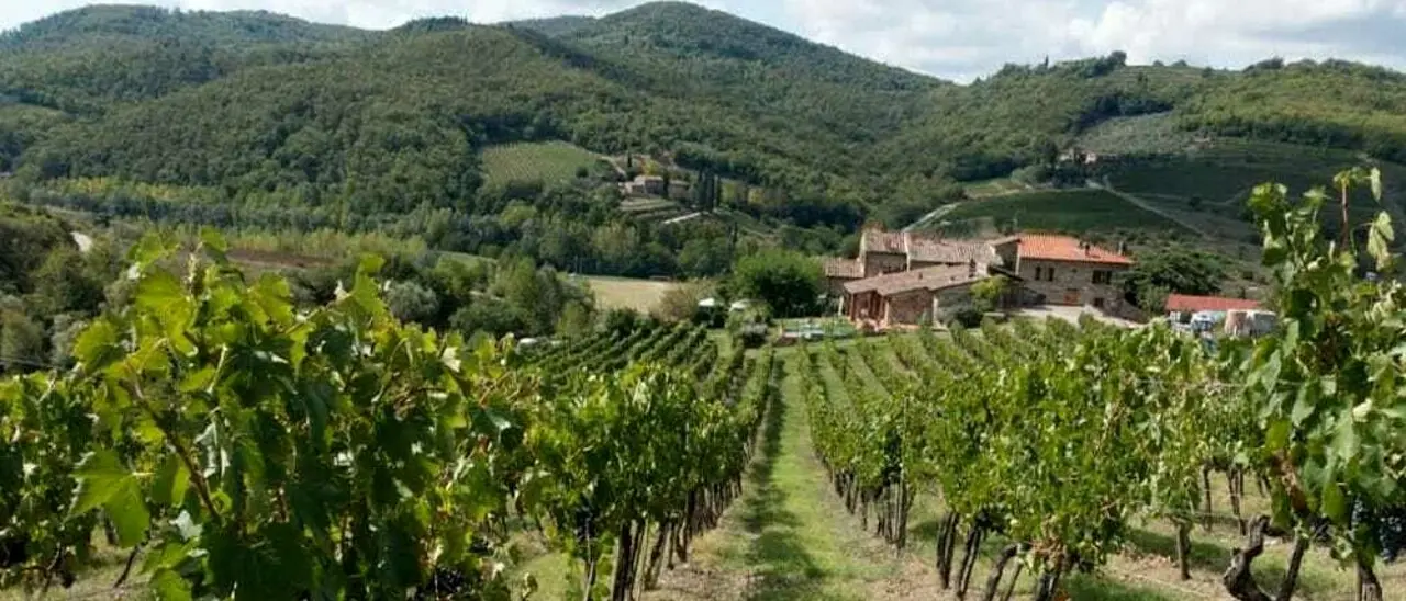 Agricoltura delle vallate reggine assetata: «Il consorzio unico irriguo non decolla»