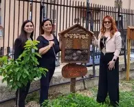 Apre a Reggio Calabria l’aula Natura di WWF e P&G Italia