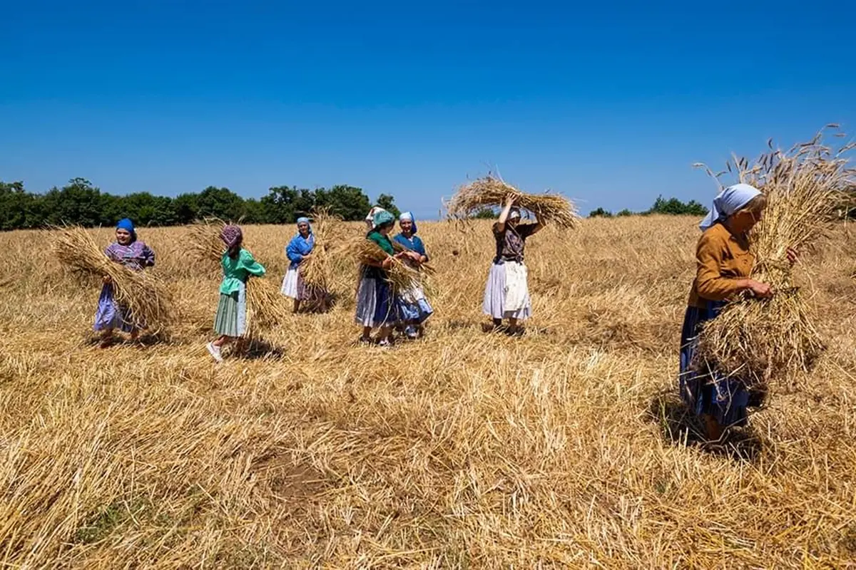 A Bagnara il 7 luglio la IV Festa della Mietitura