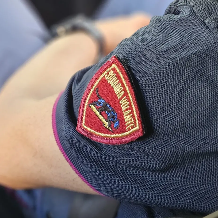 Reggio, denunciato un 32enne per lesioni e rapina: ha sottratto un cane aggredendo e percuotendo il proprietario