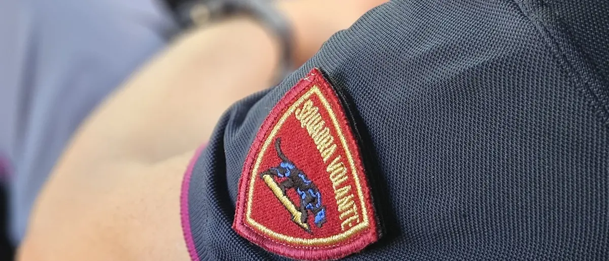 Reggio, denunciato un 32enne per lesioni e rapina: ha sottratto un cane aggredendo e percuotendo il proprietario