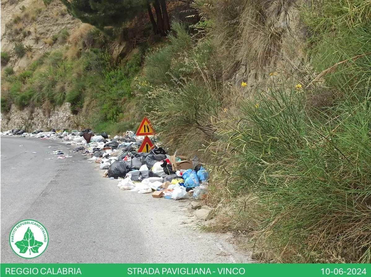 Reggio, Giordano (Pri): «Strade di periferia tra incuria e disinteresse»