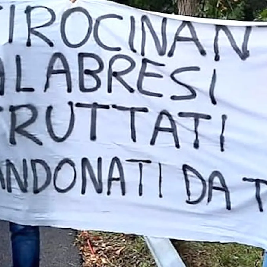 Vertenza Tirocinanti Tis Calabria e Dipendenti Ministeriali Ex Tirocinanti Calabria: Si è trattata di semplice propaganda elettorale?