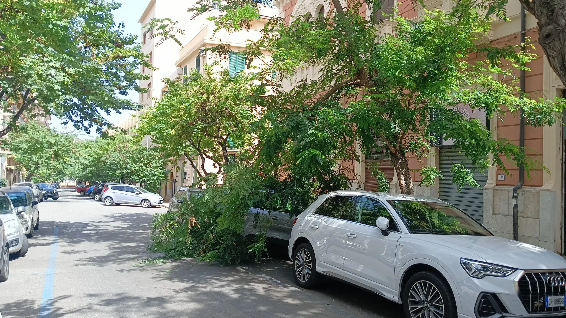 Ramo pericolante precipita su un'auto in centro a Reggio. Nessun ferito
