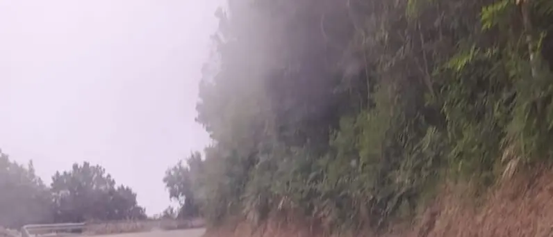 Riaperta al traffico la strada provinciale Melia -Scilla: interrotta per anni da una frana